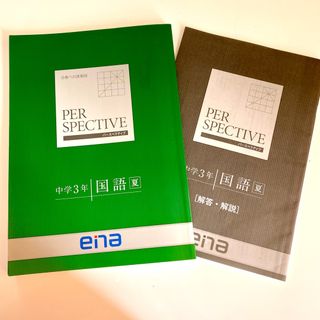 エナ(ENA)のエナ ena パースペクティブ 中3 国語 夏 テキスト 問題集 参考書(語学/参考書)