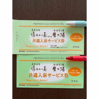 なばなの里 湯あみの島 入泉チケット 値下げしました(遊園地/テーマパーク)