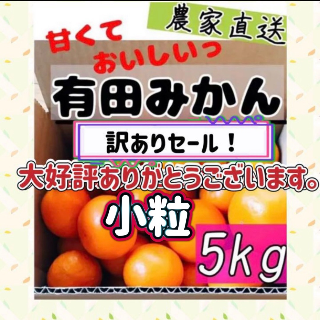 和歌山有田みかん 早生 小玉たっぷり5kg 食品/飲料/酒の食品(フルーツ)の商品写真