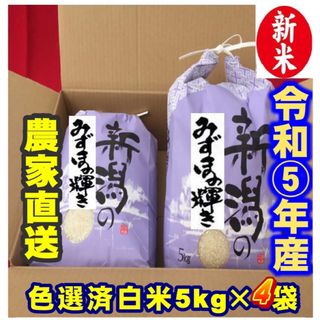 新米・令和5年産新潟みずほの輝き★色彩選別済白米5㌔×4個★幻の農家専用11(米/穀物)