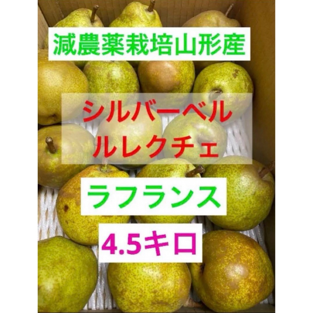 減農薬栽培山形県東根市産　洋梨好きさん集まれ♪三種コラボ4.5キロ前後 食品/飲料/酒の食品(フルーツ)の商品写真