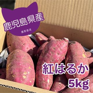 紅はるか(5kg)(野菜)