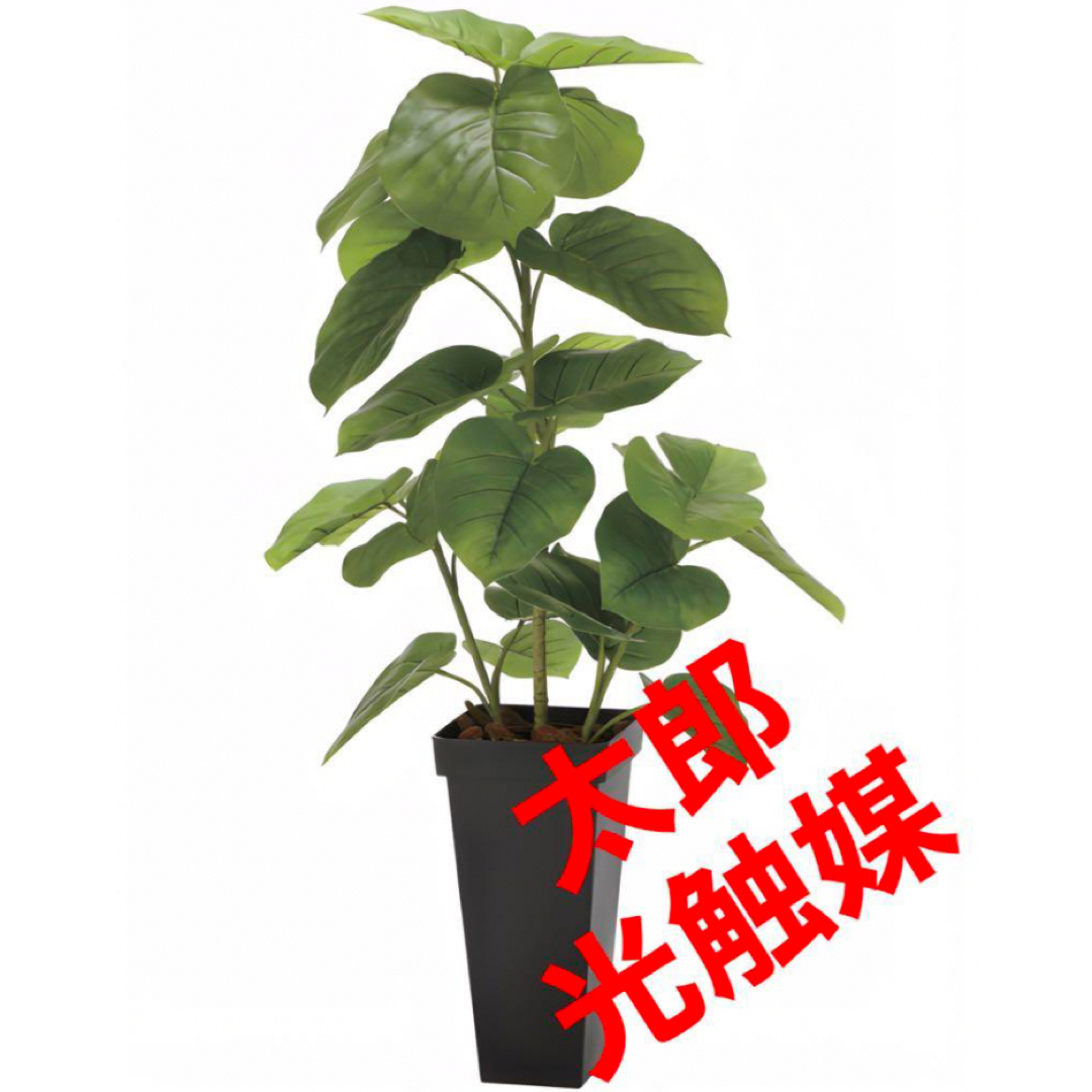 光触媒 人工観葉植物 ウォールグリーン フェイクグリーン 光触媒 人工観葉植物 ウォールグリーン フェイクグリーン