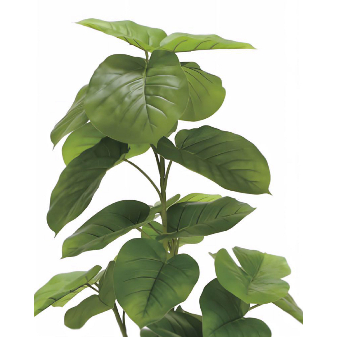 光触媒 人工観葉植物 ウォールグリーン フェイクグリーン 光触媒 人工観葉植物 ウォールグリーン フェイクグリーン