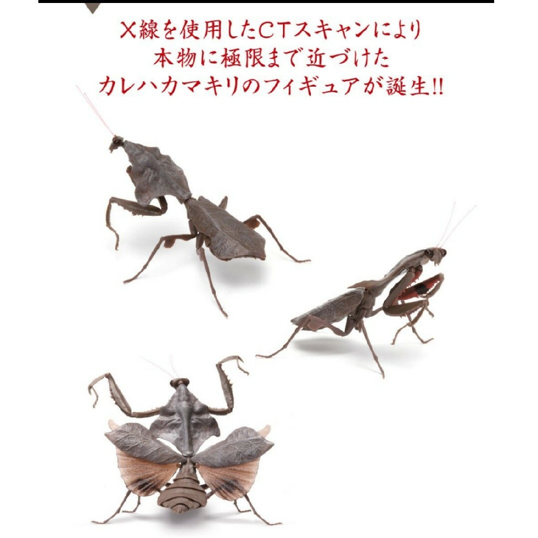 いきもの大図鑑 かまきり02 全６種類 新品 大きいリアルフィギュア ガチャ エンタメ/ホビーのフィギュア(その他)の商品写真