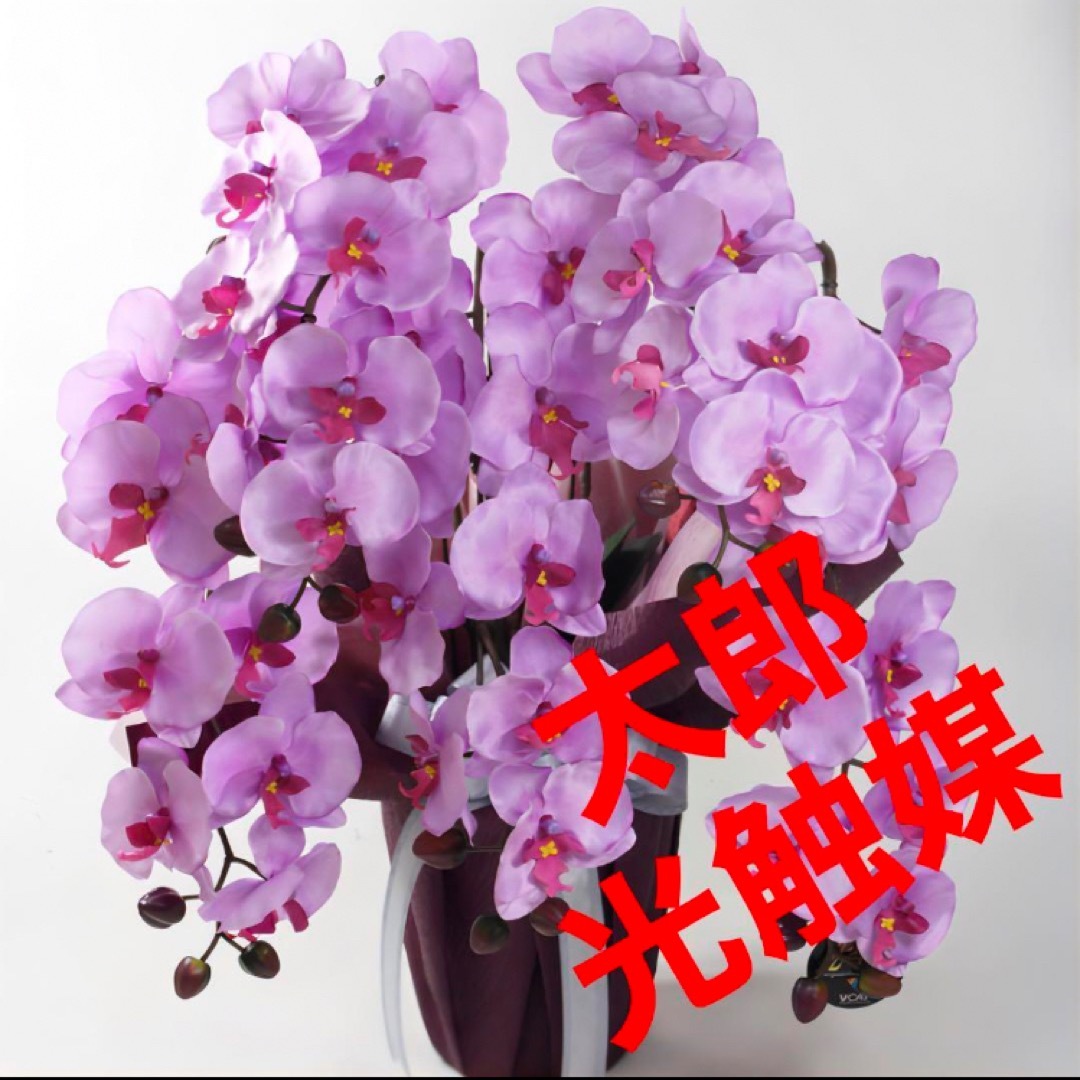 光触媒 人工観葉植物 ウォールグリーン フェイクグリーン 胡蝶蘭 光触媒 人工観葉植物 ウォールグリーン フェイクグリーン 胡蝶蘭