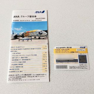 エーエヌエー(ゼンニッポンクウユ)(ANA(全日本空輸))のANA株主優待券(航空券)