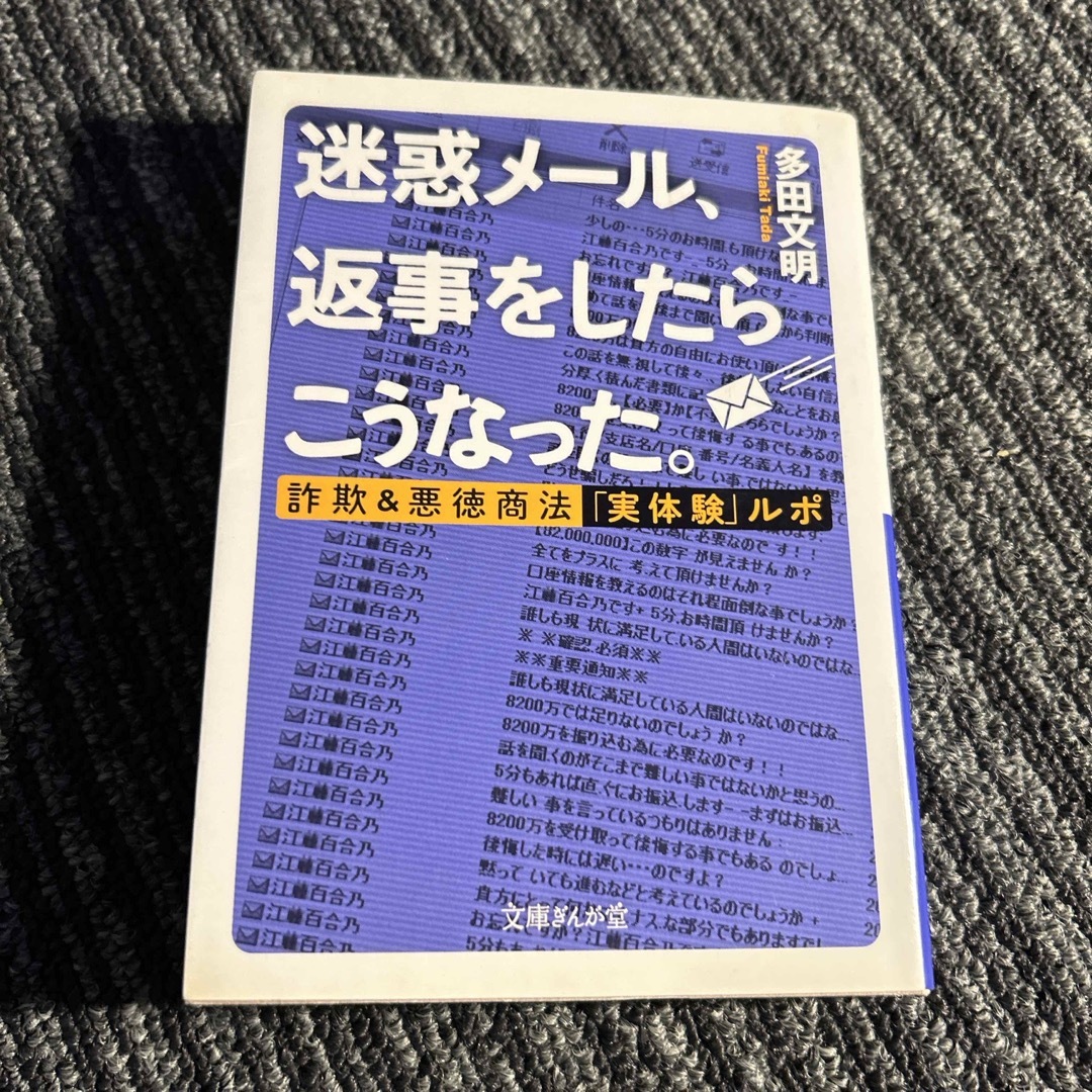 迷惑メ－ル、返事をしたらこうなった。 エンタメ/ホビーの本(その他)の商品写真