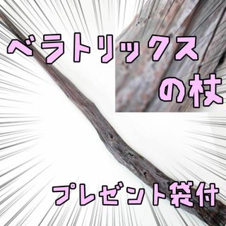 ベラトリックス・レストレンジ　ハリーポッター　魔法の杖　リボン袋付【残3のみ】(小道具)