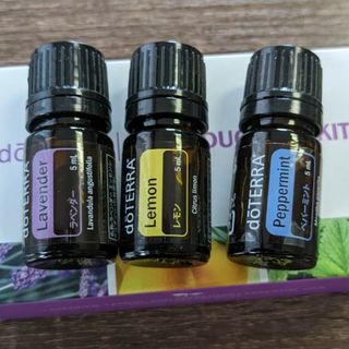 ドテラ(doTERRA)のdoTERRA　イントロキット(エッセンシャルオイル（精油）)