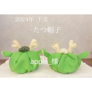 apple_様　たつ帽子　3点(帽子)