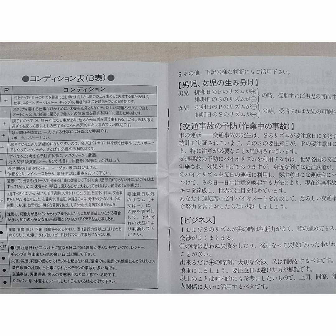 政木式バイオリズム計 政木和三先生 (検 パラメモリー アルファ 政木式バイオリズム計 政木和三先生 (検 パラメモリー アルファ