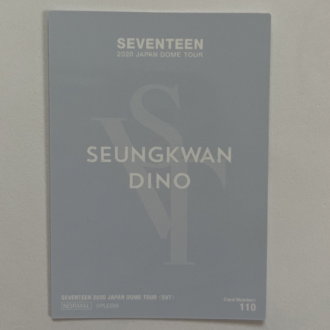 SEVENTEEN(セブンティーン)のディノ🩵スングァン エンタメ/ホビーのタレントグッズ(アイドルグッズ)の商品写真