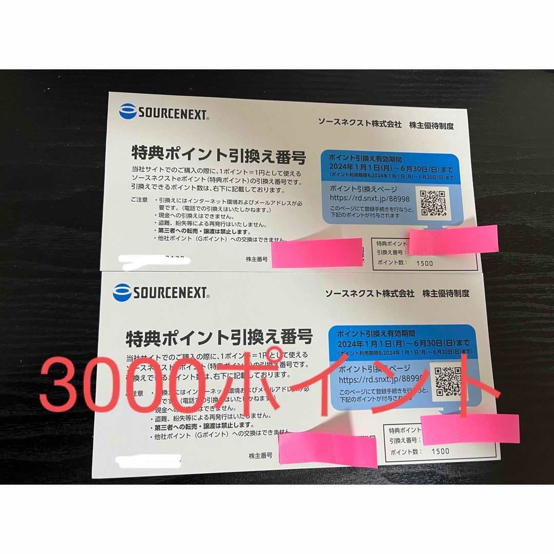 【3000ポイント】ソースネクスト株主優待券 チケットの優待券/割引券(ショッピング)の商品写真