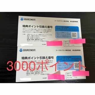 【3000ポイント】ソースネクスト株主優待券(ショッピング)