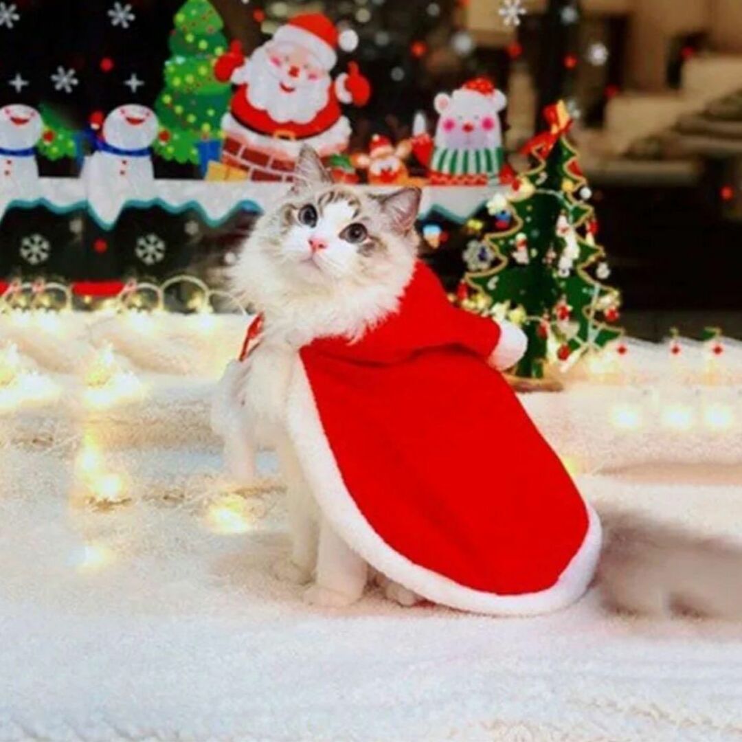 ペット 服 クリスマス コスプレ ケープ マント 犬 猫 コスチューム 冬 防寒 その他のペット用品(犬)の商品写真