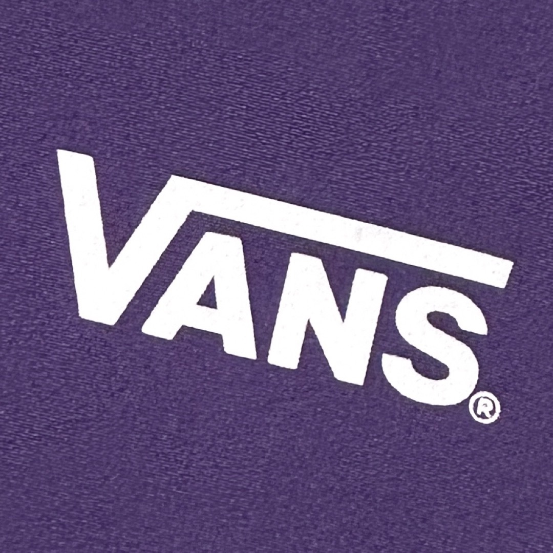 VANS(ヴァンズ)のVANS バンズ マウンテンパーカー アノラックパーカー マルチカラー メンズのジャケット/アウター(マウンテンパーカー)の商品写真