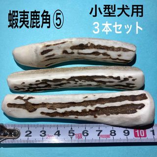 鹿の角　犬用品　小型犬用３本(犬)