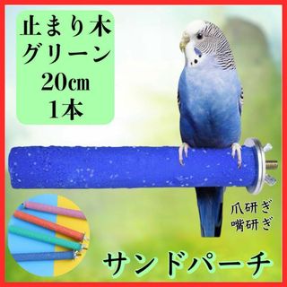 サンドパーチ  止まり木　つめ研ぎ  鳥 インコ　オウム モモンガ リス(鳥)