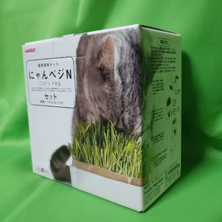 ハリオ(HARIO)の猫草栽培キットharioにゃんベジ 鉢 鉢 + リフィル   無農薬cat's(猫)