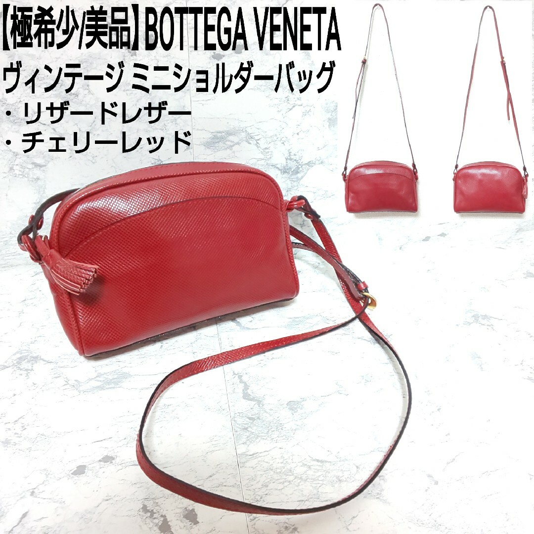 Bottega Veneta - 【極希少/美品】BOTTEGA VENETA ミニショルダー