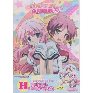 タイトー(TAITO)の【新品】瑞希＆美波 A4ポケットクリアファイル「バカとテストと召喚獣にっ!」H賞(クリアファイル)