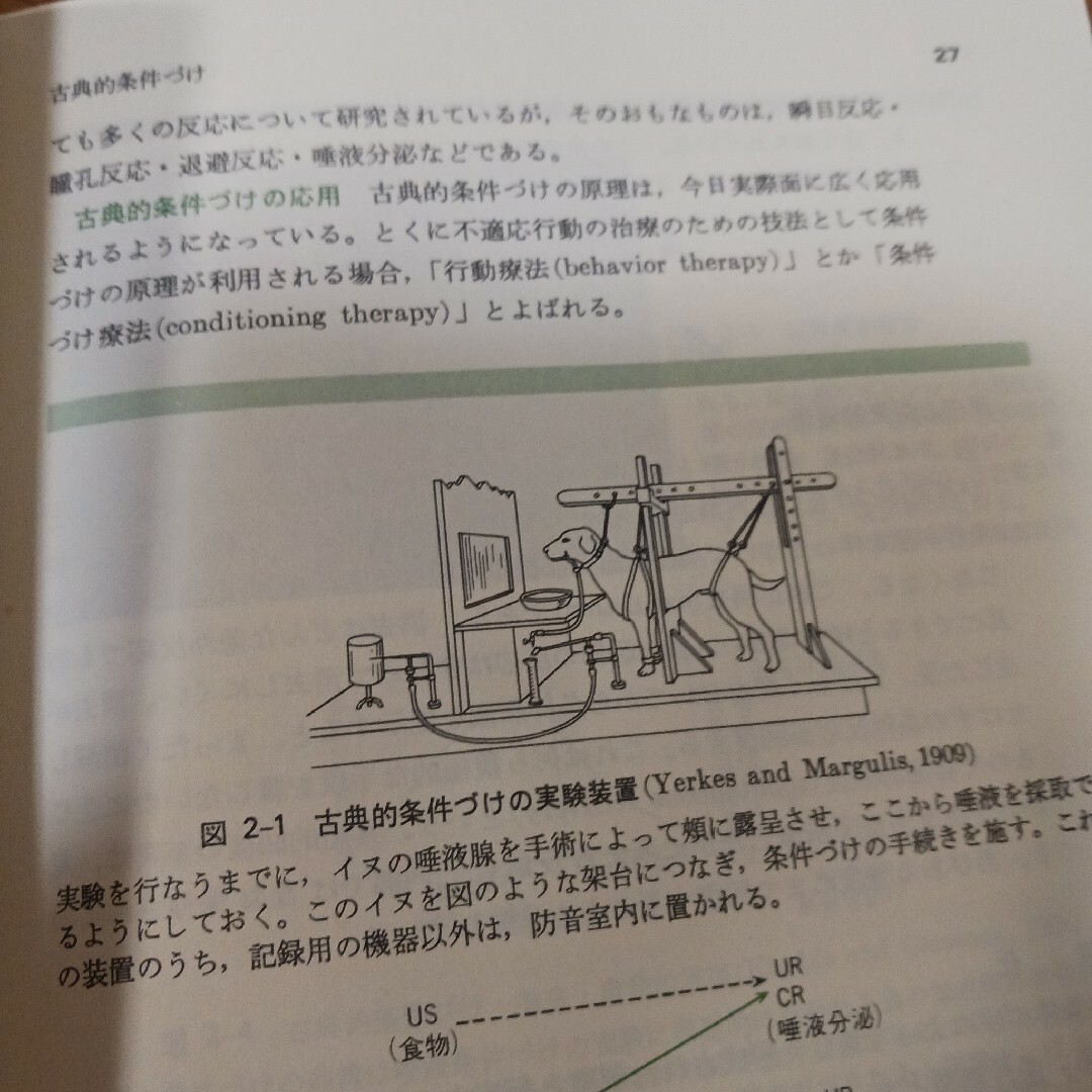 教養の心理学 エンタメ/ホビーの本(語学/参考書)の商品写真