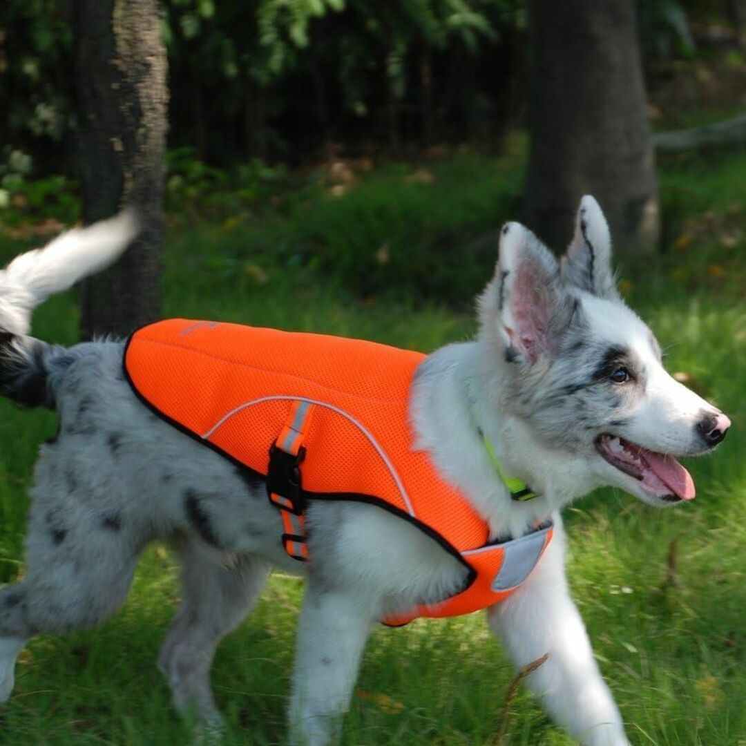 犬用クールベスト ひんやりお散歩タンクトップ 冷感犬服 L その他のペット用品(犬)の商品写真