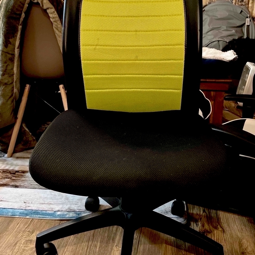 ニトリ(ニトリ)の椅子 オフィスチェア デスクチェア インテリア/住まい/日用品のオフィス家具(オフィスチェア)の商品写真