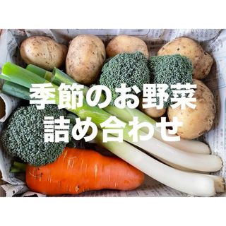 季節のお野菜詰め合わせ コンパクトボックス 愛媛県産(野菜)