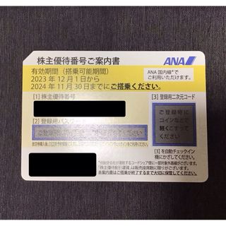 エーエヌエー(ゼンニッポンクウユ)(ANA(全日本空輸))のANA 株主優待 2024年11月30日まで(その他)