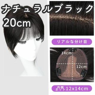 人毛100% 部分ウィッグ ヘアピース 頭頂部 ナチュラルブラック【20cm】(ショートストレート)