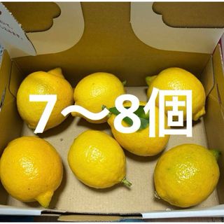 今季分出荷スタート！無農薬国産レモン🍋(フルーツ)