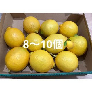 今季分出荷スタート！無農薬国産レモン🍋(フルーツ)