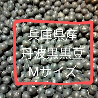 丹波黒黒豆1.5キロ　Мサイズ兵庫県産(豆腐/豆製品)