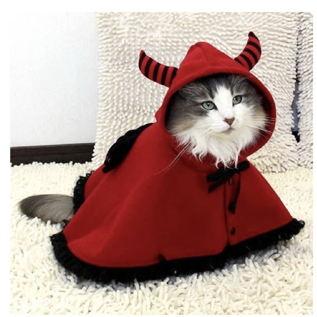 アイキャット　赤　ケープ　デビル　悪魔　ペットウェア その他のペット用品(猫)の商品写真