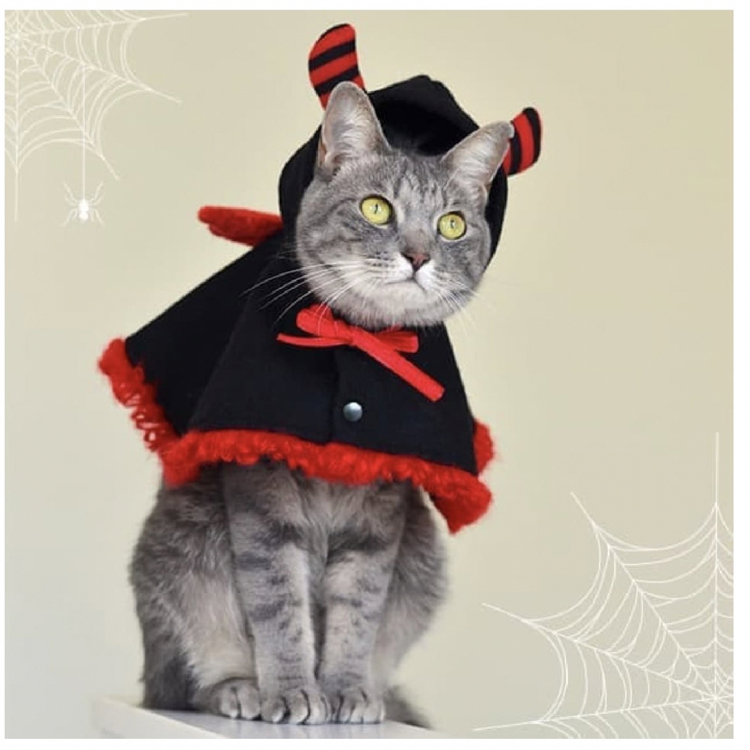アイキャット　赤　ケープ　デビル　悪魔　ペットウェア その他のペット用品(猫)の商品写真