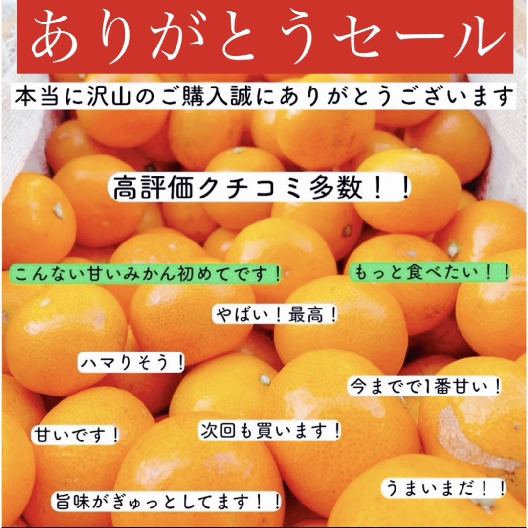 ①早い者勝ちありがとうセール!早生温州みかん「樹熟大坊みかん」秀品10Kg 柑橘