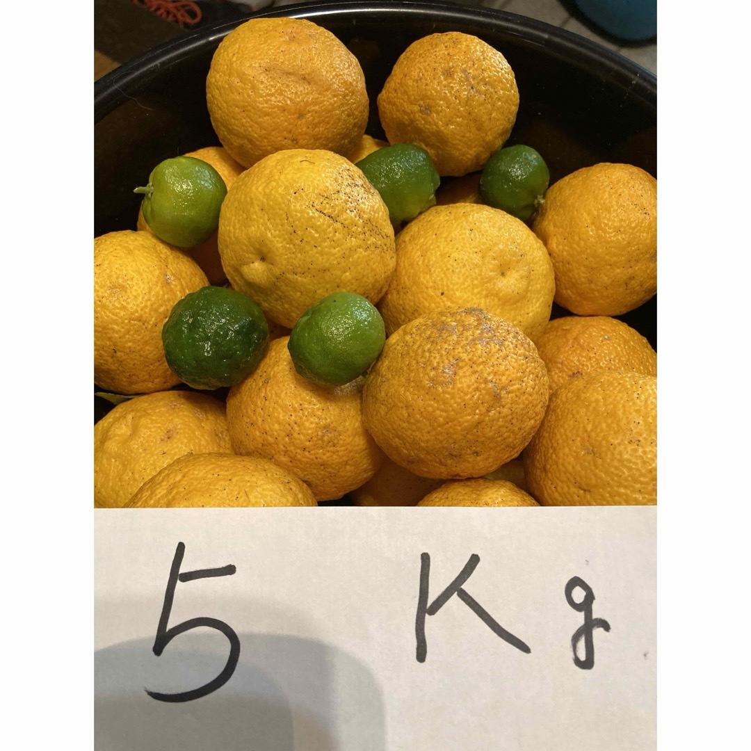 本柚子　梱包込み　約５キロ  オマケ　シークワサー    5個入り 食品/飲料/酒の食品(フルーツ)の商品写真