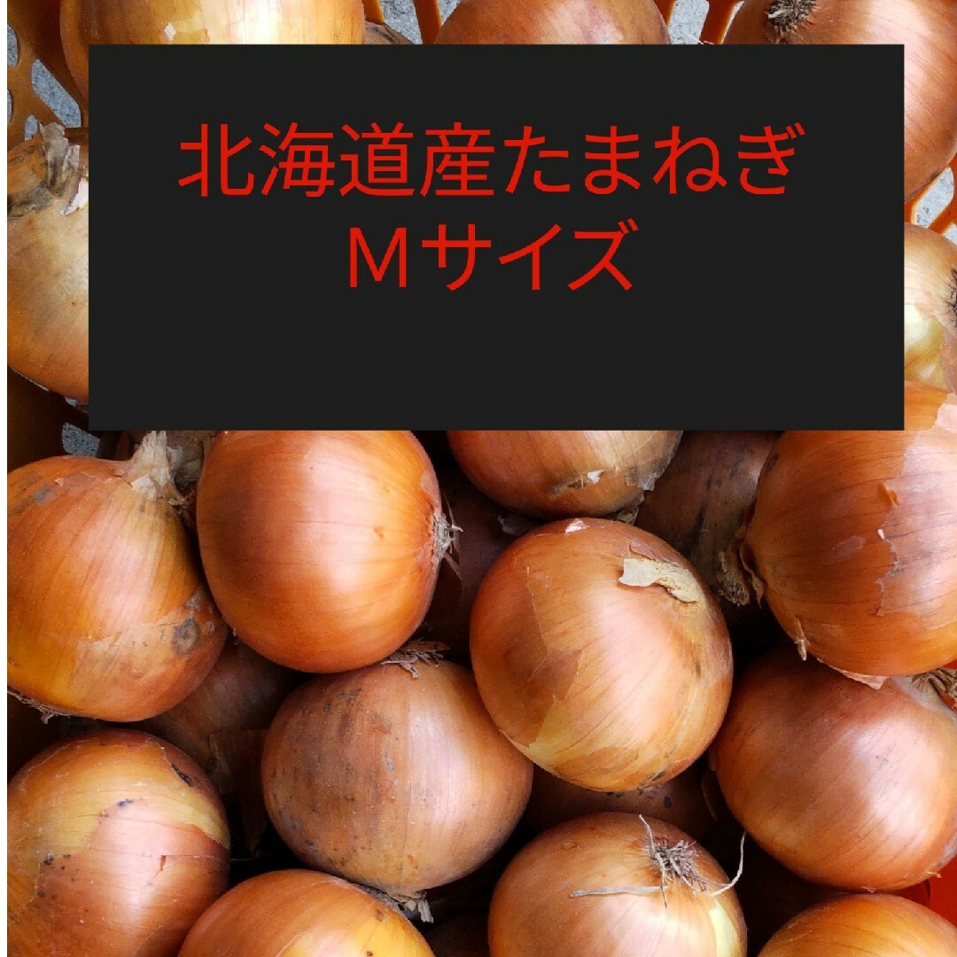 ◆北海道産 玉ねぎ Ｍサイズ  約１０キロ 食品/飲料/酒の食品(野菜)の商品写真