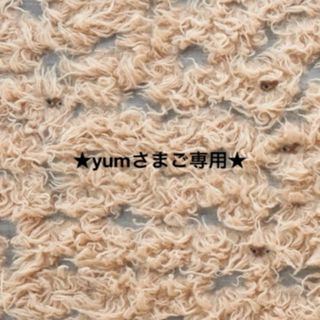 ミナペルホネン(mina perhonen)の★yumさまご専用★(ブローチ/コサージュ)