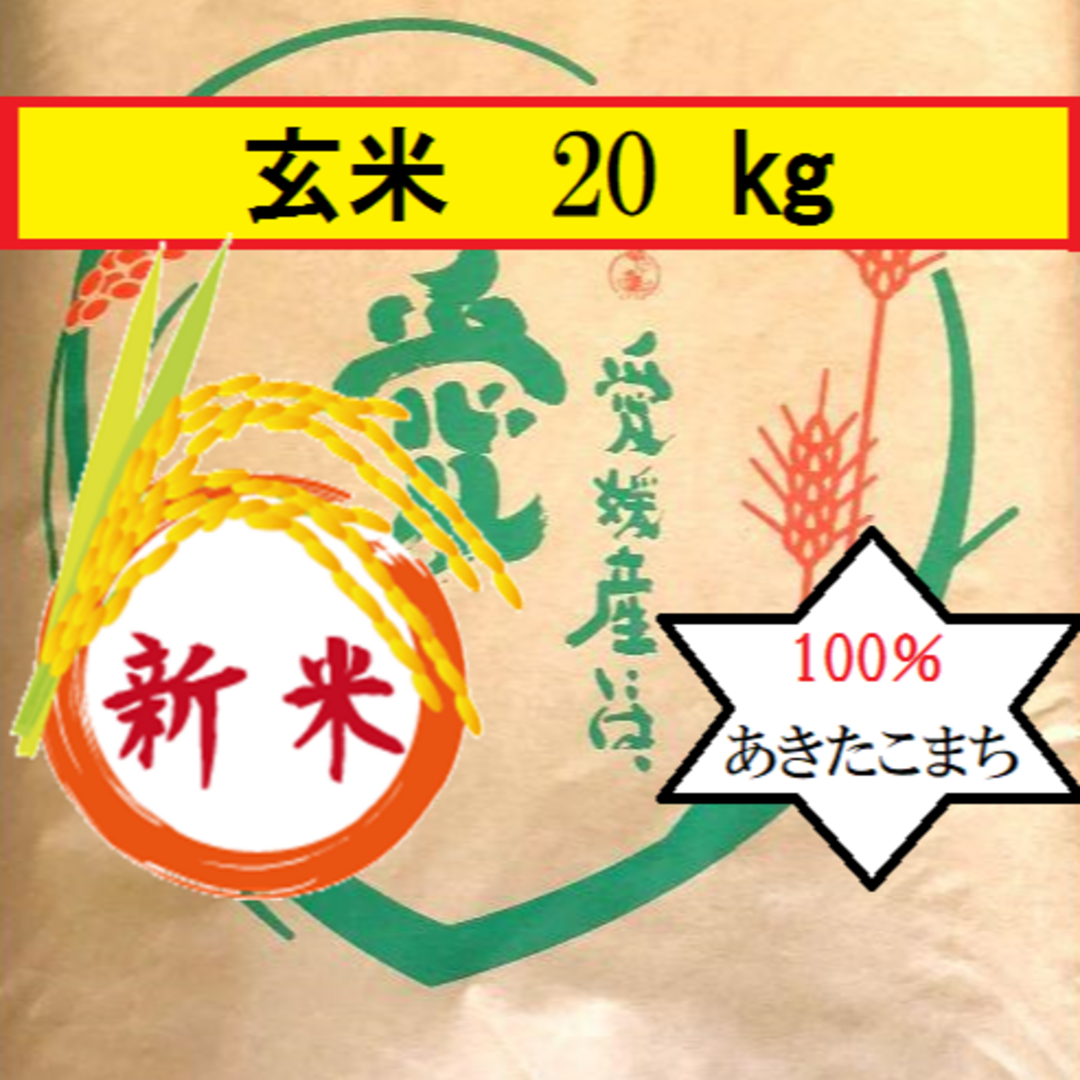 米/穀物お米 令和5年 愛媛県産あきたこまち 玄米 20kg