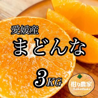 愛媛県産 愛果28号（紅マドンナ同品種）3キロ箱　小玉(フルーツ)