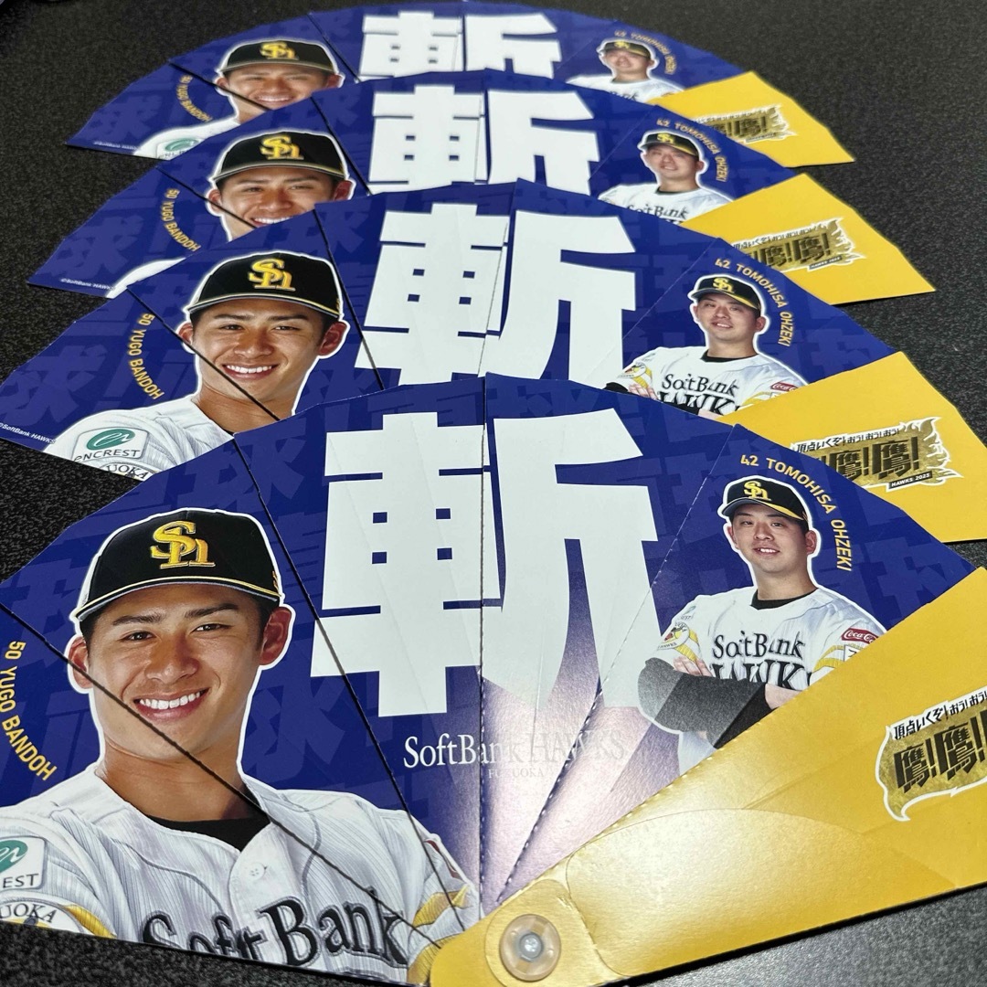 ソフトバンクホークス　PayPayドーム　坂東　大関　センス チケットのスポーツ(野球)の商品写真