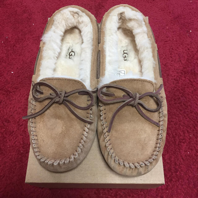 UGG DAKOTA チェスナット 23cm