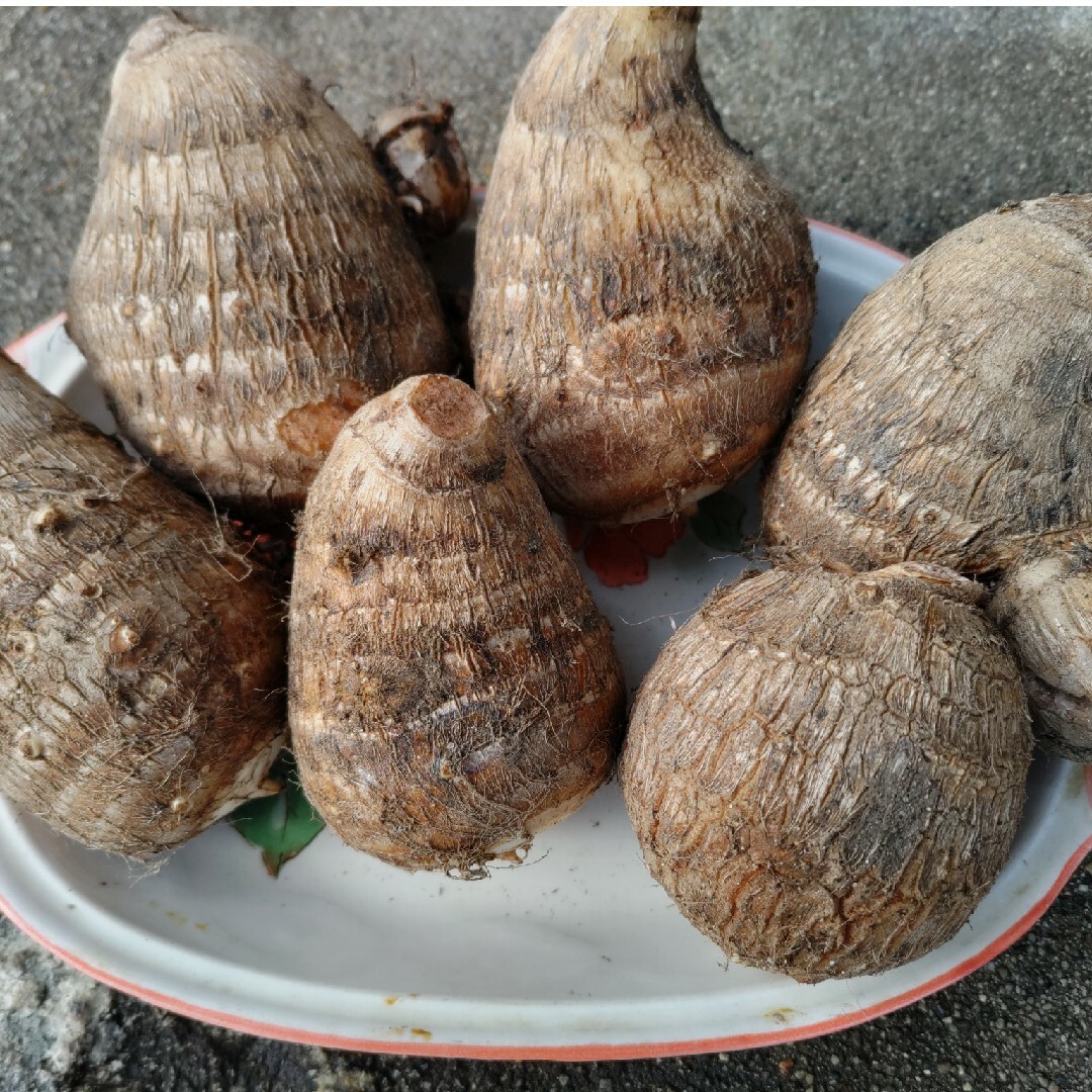 里芋・2.6㌔程❣️無農薬 食品/飲料/酒の食品(野菜)の商品写真