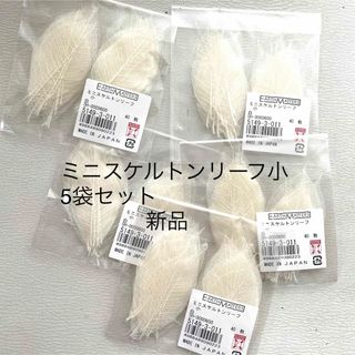 大地農園 - 大地農園　ミニスケルトンリーフ（小）　白　新品　5袋セット