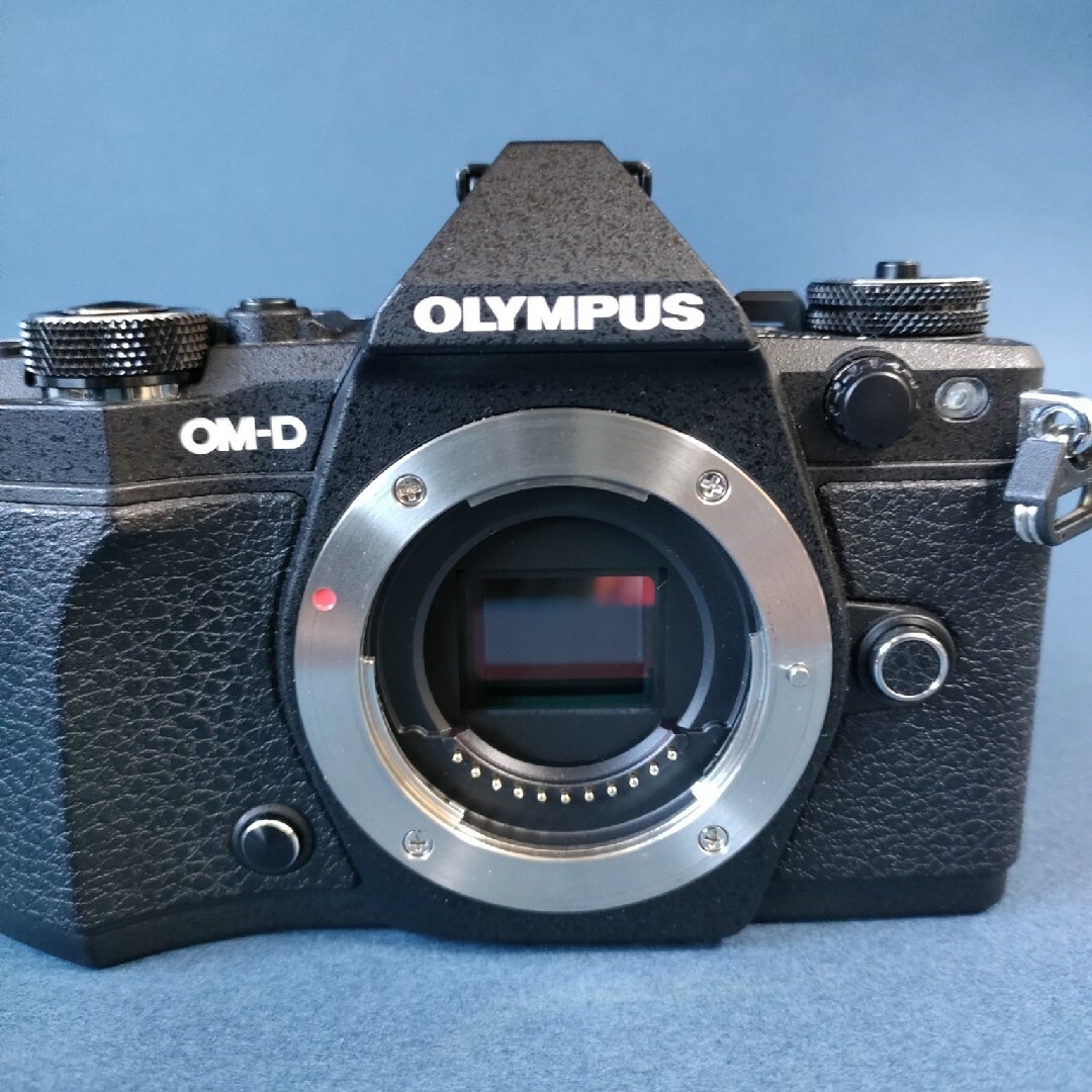 OLYMPUS OM-D E-M5 MarkⅡ スマホ/家電/カメラのカメラ(ミラーレス一眼)の商品写真