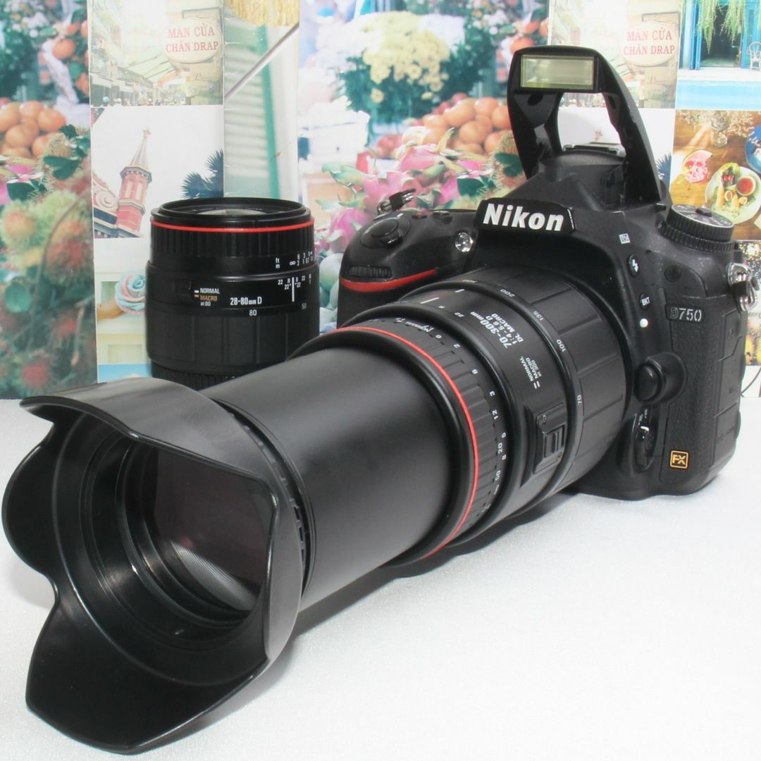 極美品❤️望遠レンズ❤️ニコン DX AF-P Nikkor 70-300mm VR