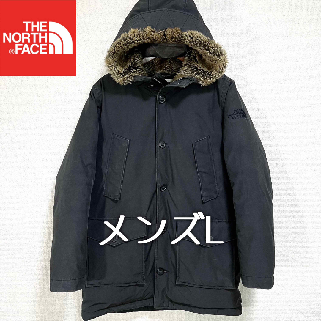 ジャケット/アウター人気希少THE NORTH FACE ダウンジャケット メンズL グースダウン